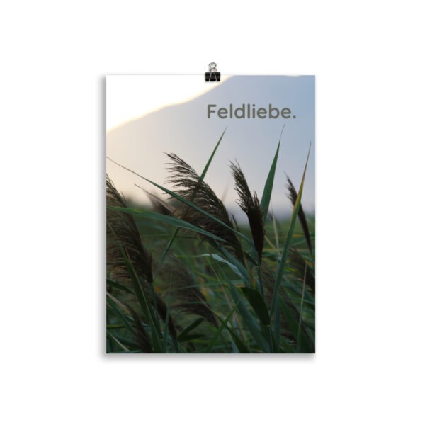 Poster „Feldliebe“ – Hommage an unsere Landschaft. Und an das, was bleibt. (21×30 bis 50×70) – Bild 2