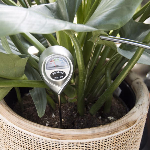 Präzises Hygrometer 28 cm zur einfachen Messung der Luftfeuchtigkeit. Ideal für Zimmerpflanzen, Terrarien & Gewächshäuser. Kompakt, robust und sofort einsatzbereit.