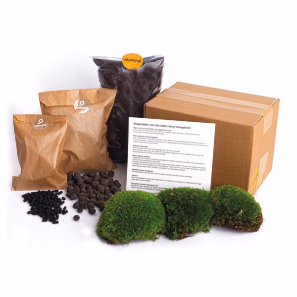 Terrarium Package - Refill & Starter Package - Diy Terrarium Kit